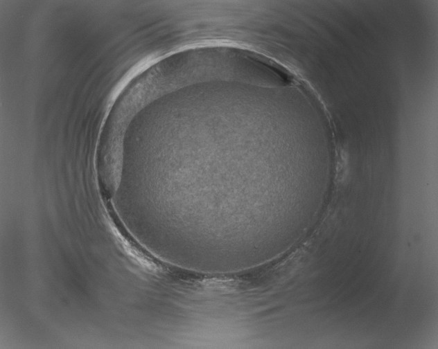 X0000077971181200611031326