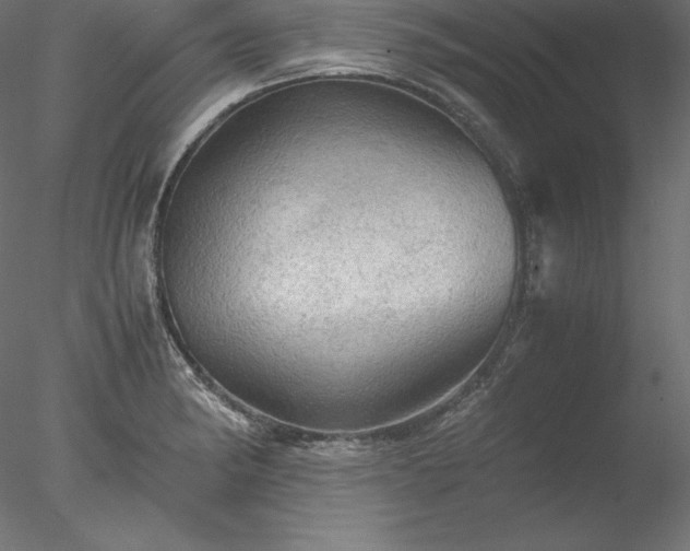 X0000077971182200611031326