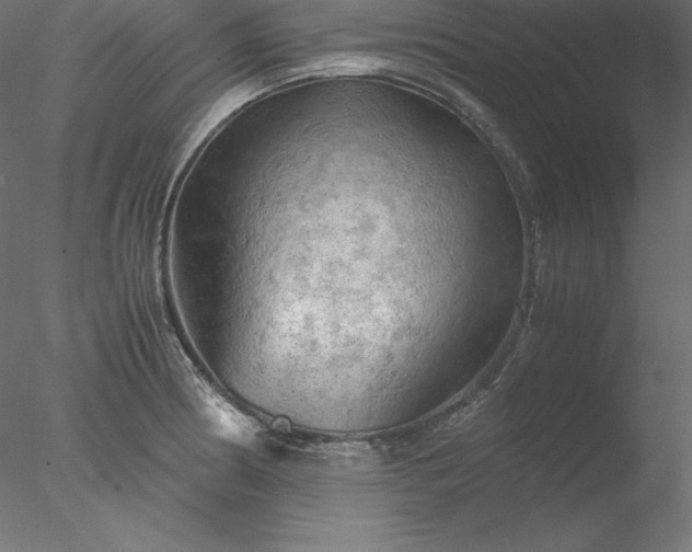 X0000077971186200611031326