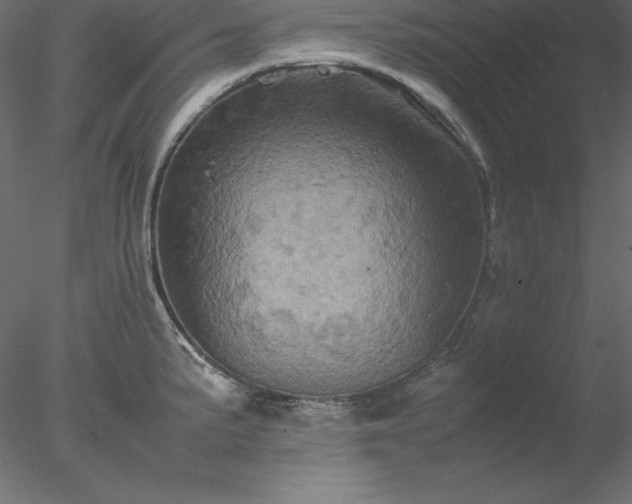 X0000077971191200611031326