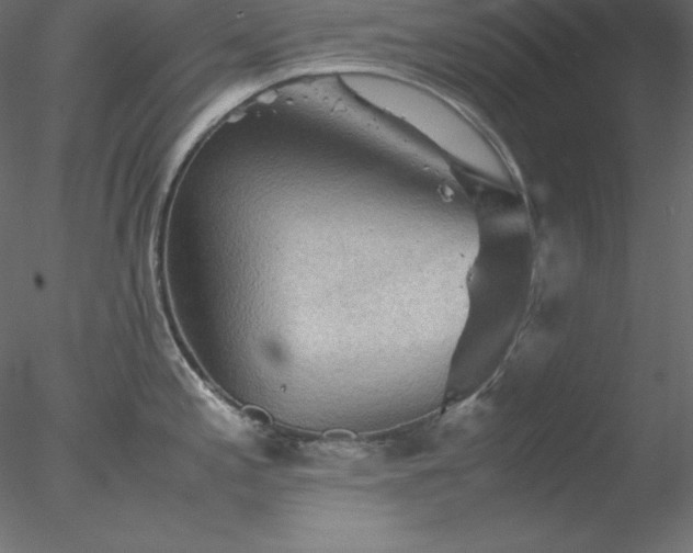 X0000077971197200611031325