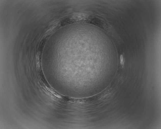 X0000077971203200611031325