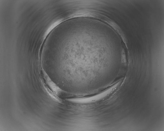 X0000077971242200611031325