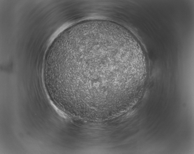 X0000077971245200611031325