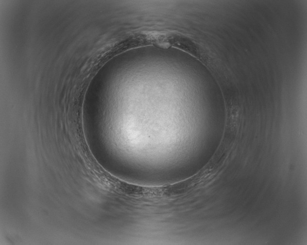 X0000077971249200611031325