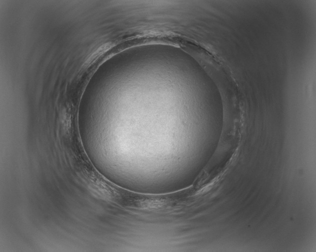 X0000077971257200611031324