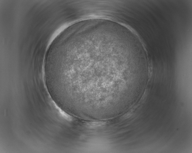 X0000077971294200611031324