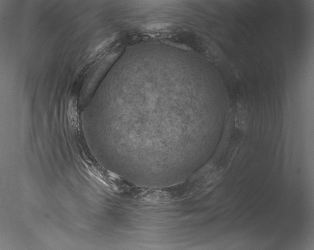 X0000077971298200611031323