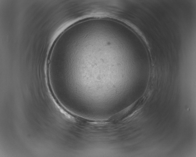 X0000077971343200611031324