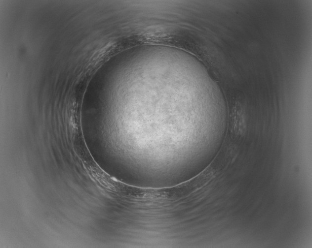 X0000077971346200611031323
