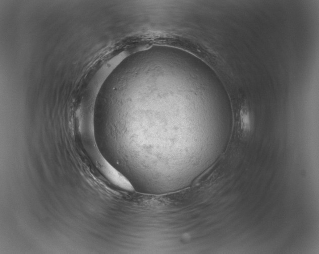 X0000077971348200611031323