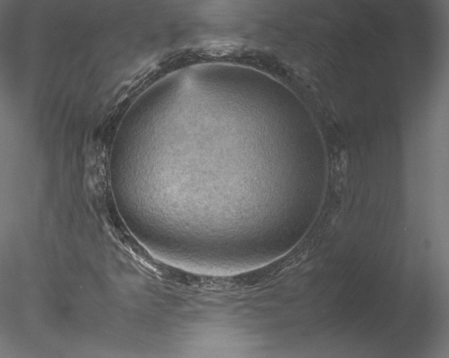 X0000077971349200611031323