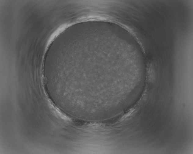X0000077971373200611031323