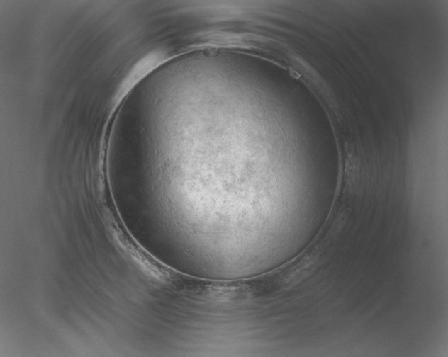 X0000077971378200611031322