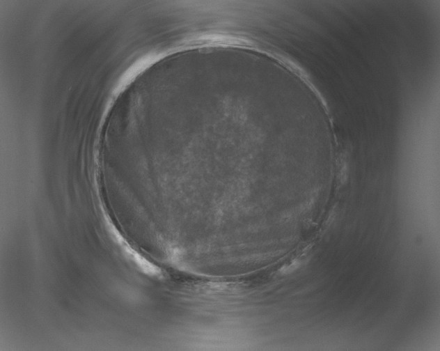X0000077971381200611031322