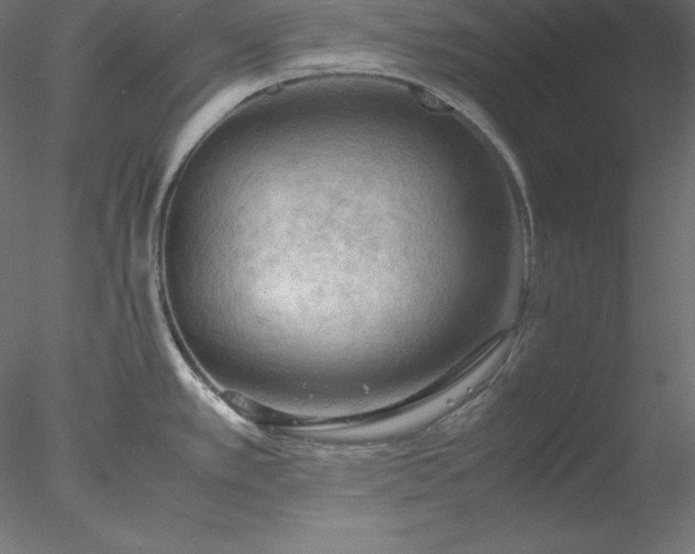 X0000077971389200611031322
