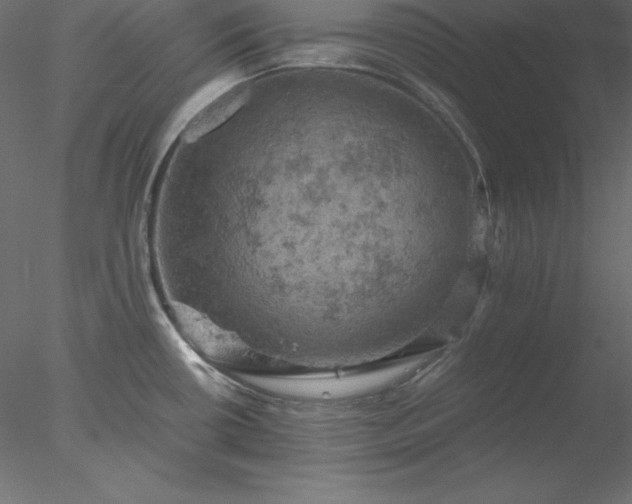 X0000077971434200611031322