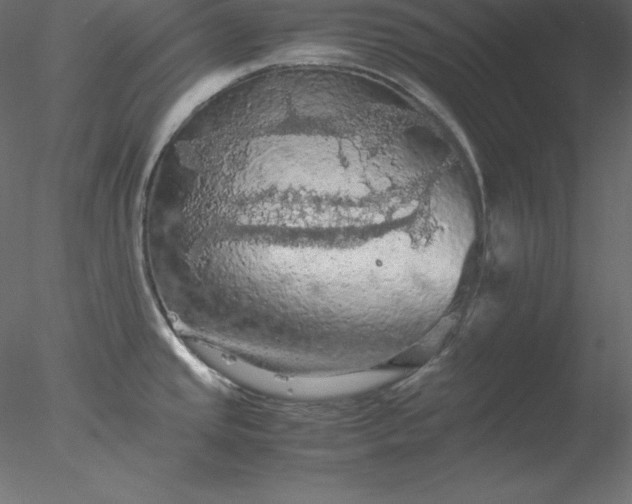 X0000077971437200611031322