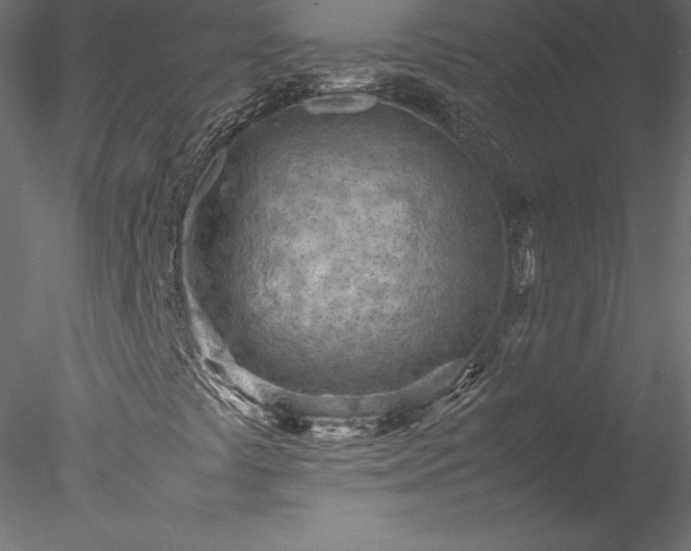 X0000077971441200611031321
