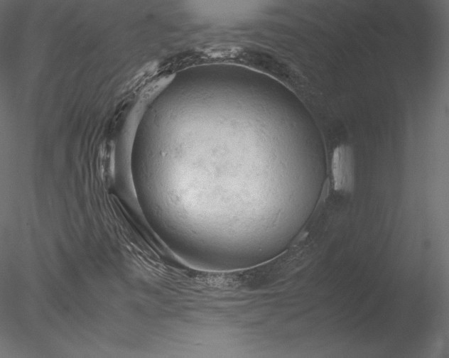 X0000077971443200611031321