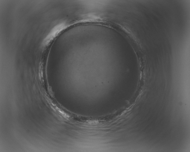 X0000077971455200611031321