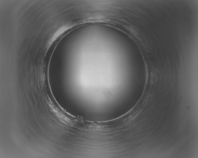 X0000077971458200611031321