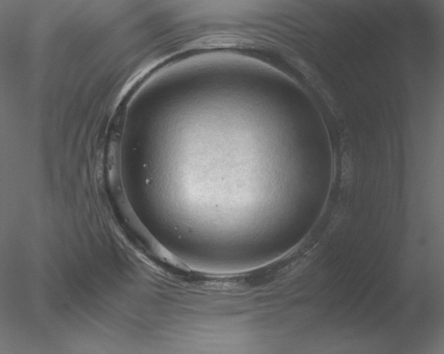 X0000077971465200611031321