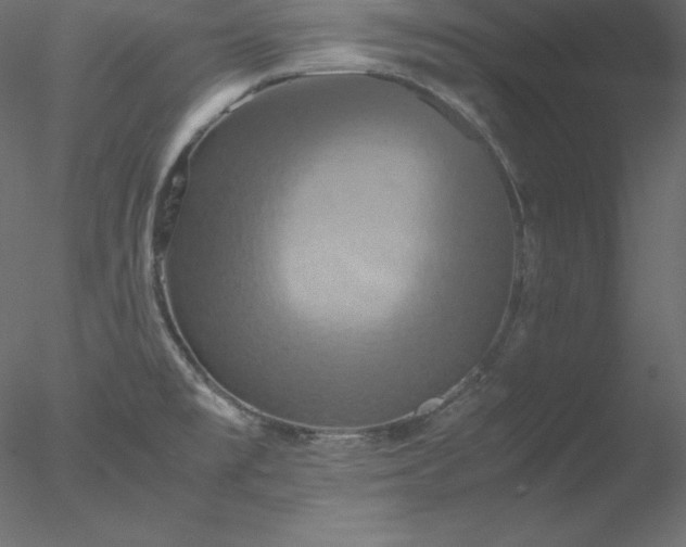 X0000077971477200611031321