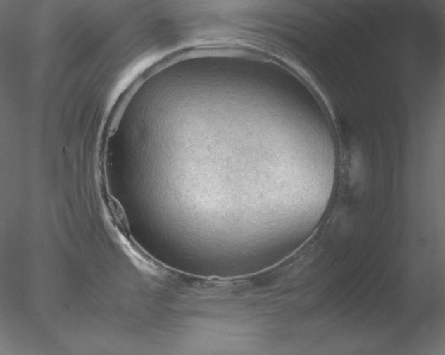 X0000077971485200611031321