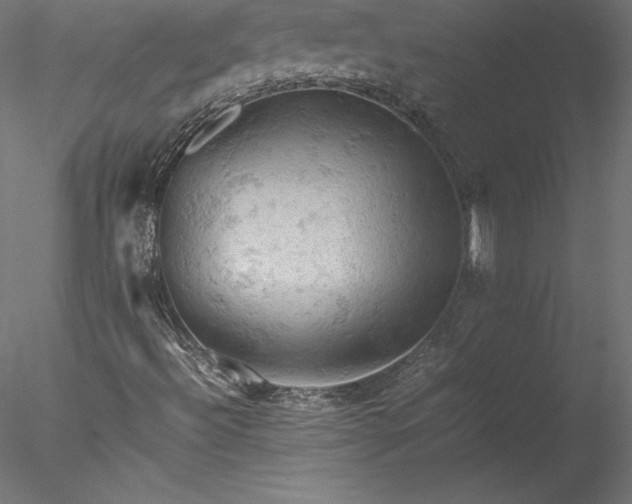 X0000077971492200611031320