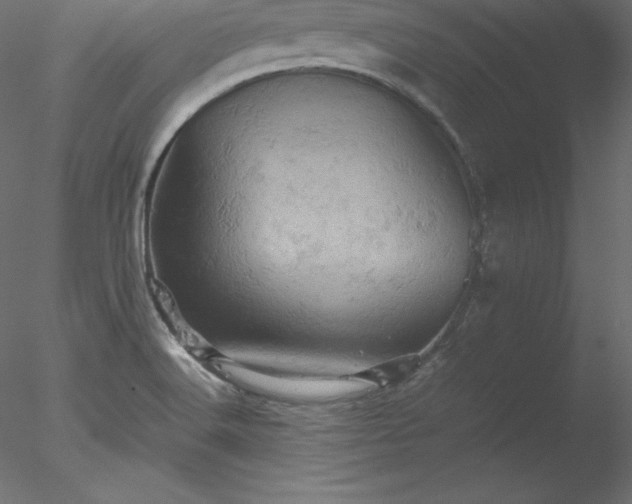 X0000077971516200611031320