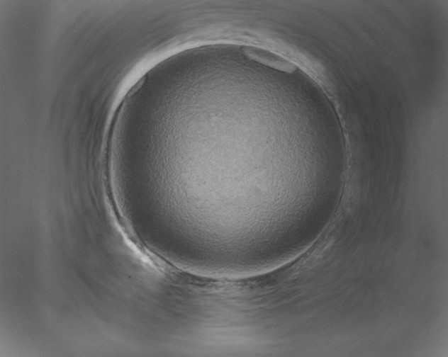 X0000077971536200611031321