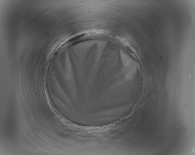 X0000077970001200611101648
