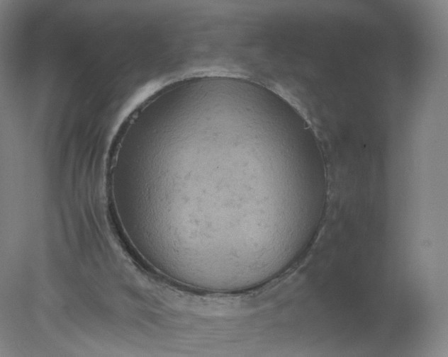 X0000077970008200611101648