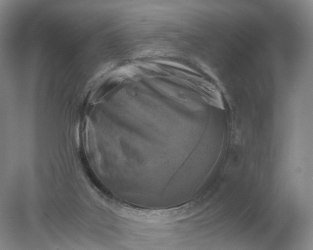 X0000077970019200611101648