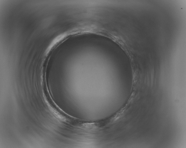 X0000077970054200611101647