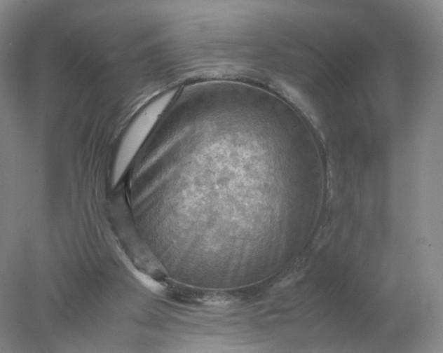 X0000077970105200611101646