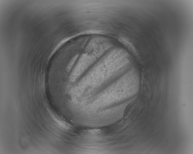 X0000077970108200611101646