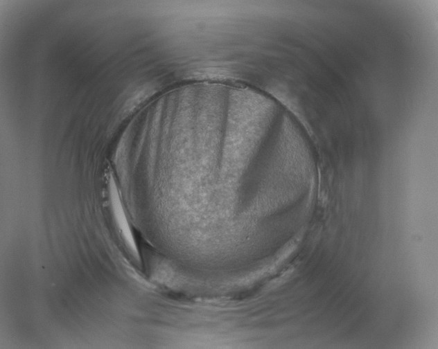 X0000077970109200611101646