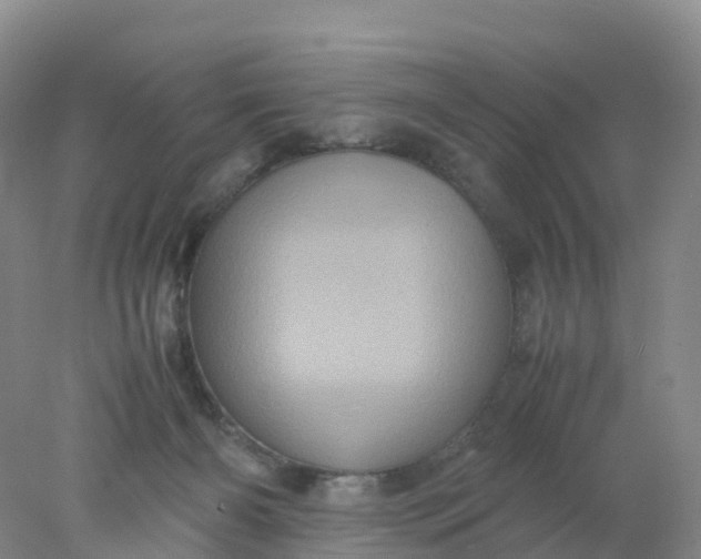 X0000077970126200611101646