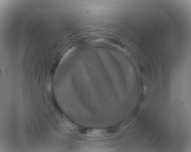 X0000077970129200611101646