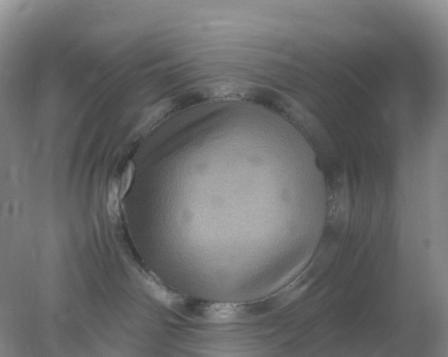 X0000077970142200611101646
