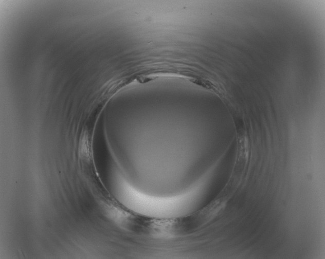 X0000077970143200611101646