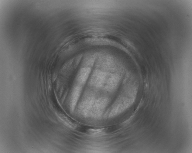 X0000077970170200611101645