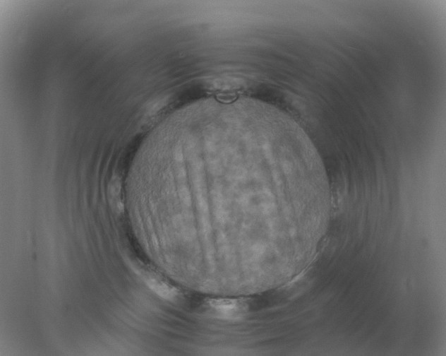 X0000077970187200611101646