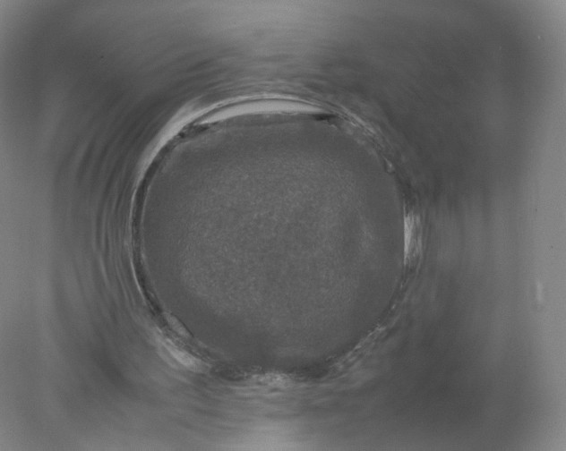 X0000077970195200611101645