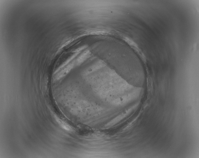 X0000077970201200611101645