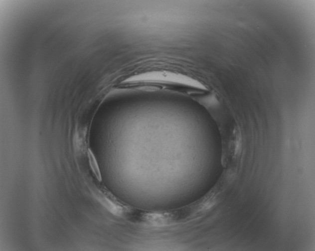 X0000077970239200611101644