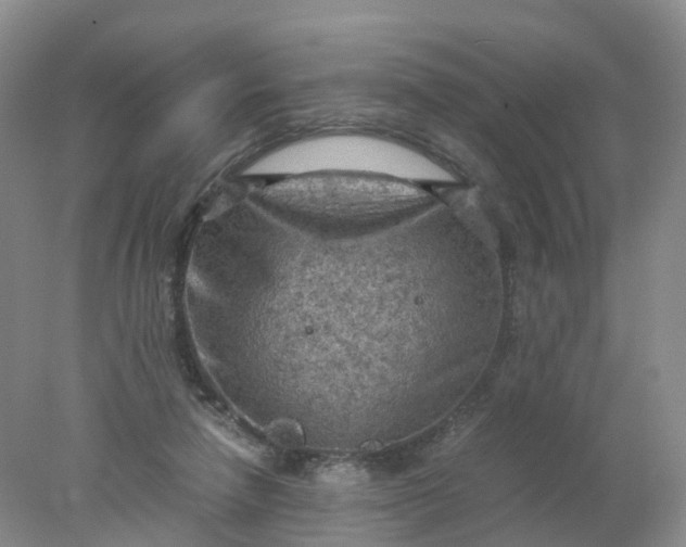 X0000077970258200611101644