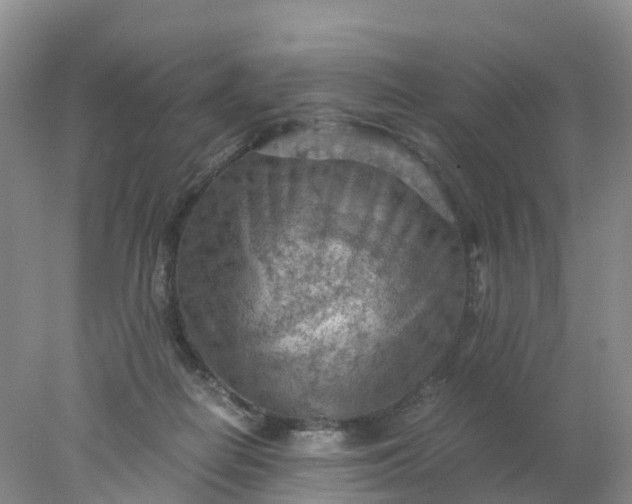 X0000077970266200611101644